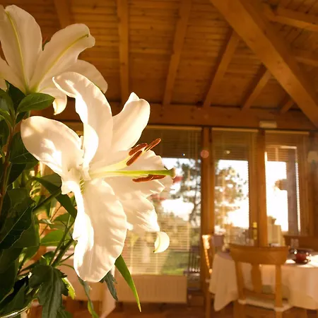 Hotel Casa Camila-2